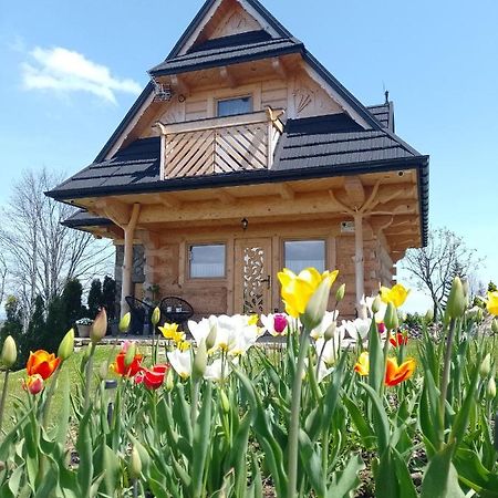 Domek Na Goralska Mode Сухе Экстерьер фото